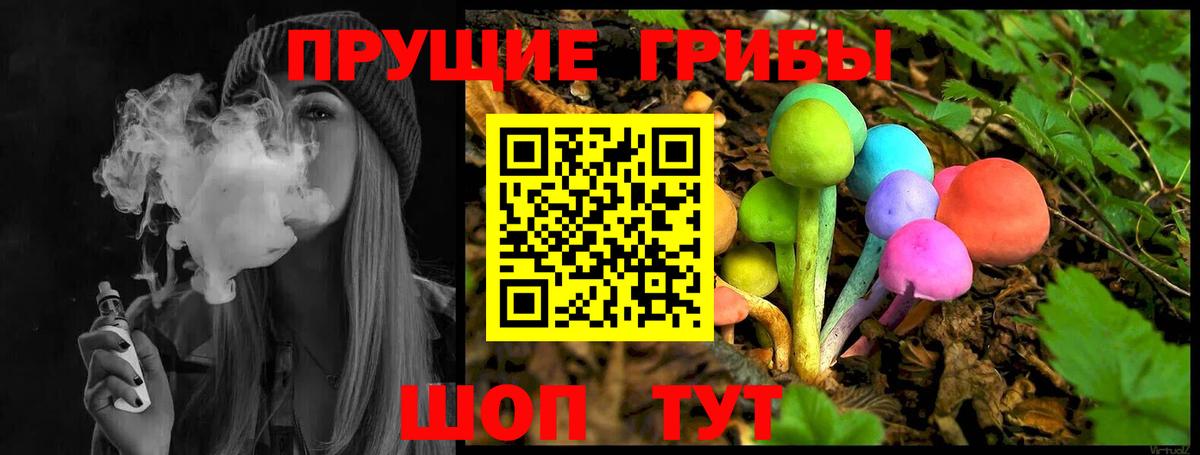 Скопин  Псилоцибиновые грибы Psilocybine cubensis  Галлюциногенные грибы Magic Shrooms  Вход с VPN 